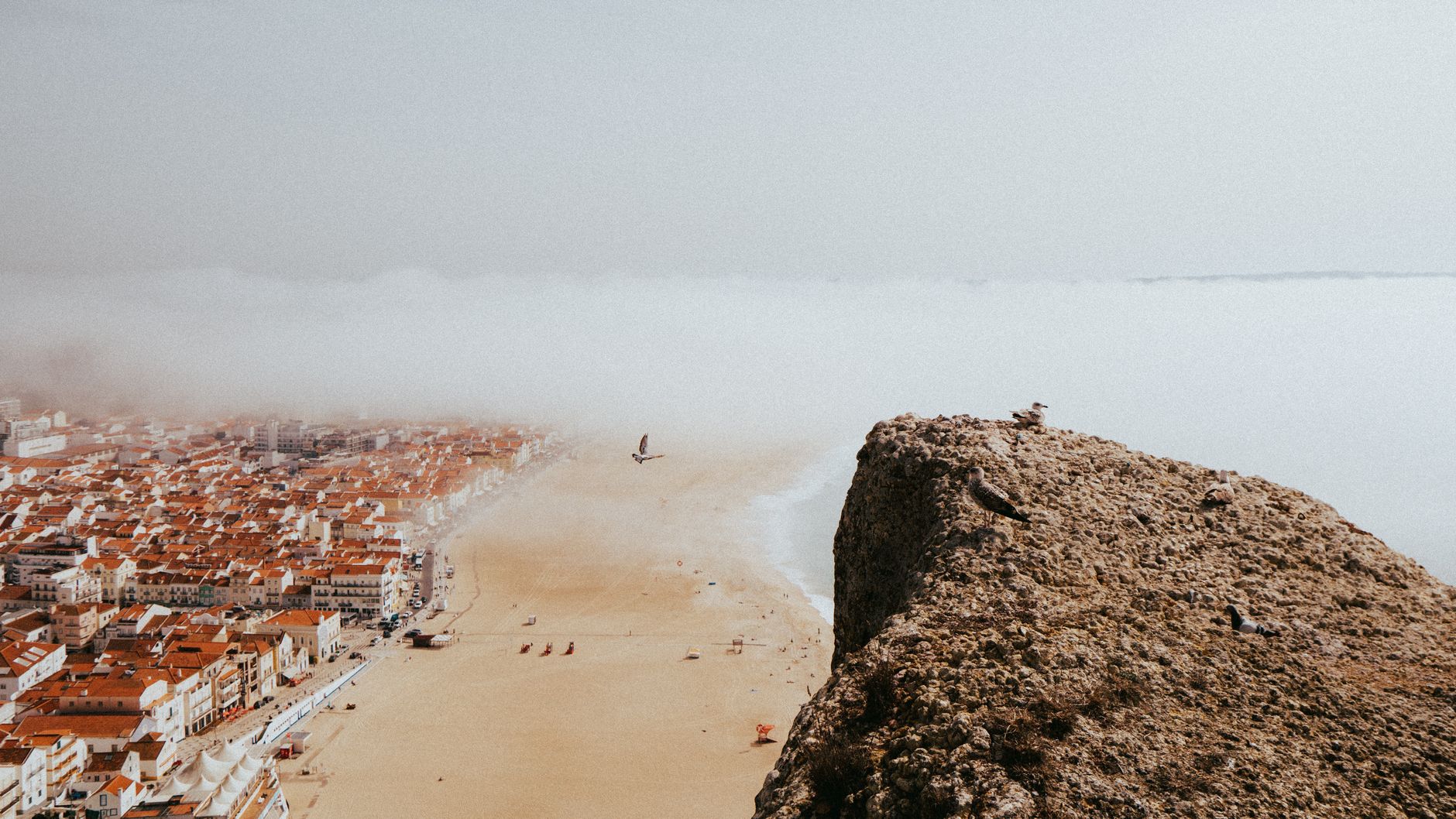 Dicas Práticas para Economizar nas Casas Bahia  